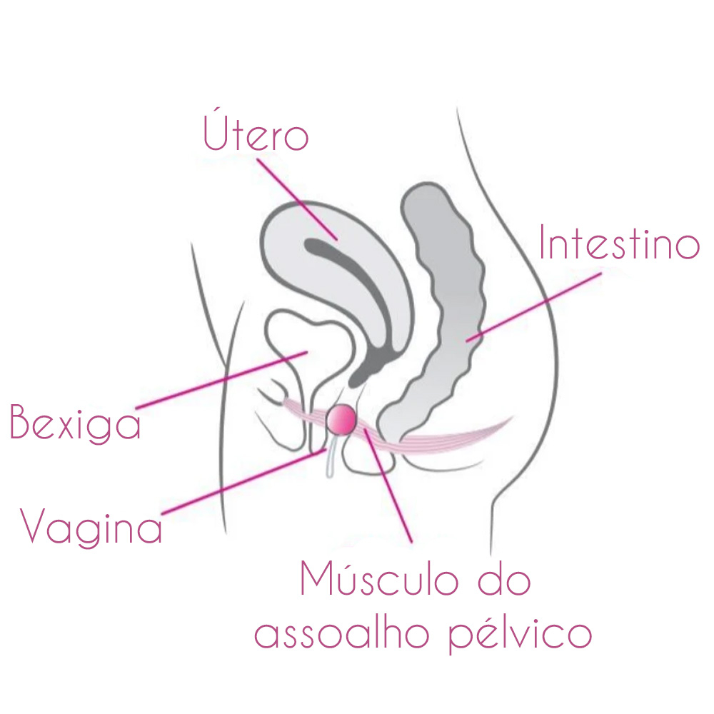 Bola de Pompoarismo Laselle 48g Pink | Foto 06 Bola de Pompoarismo Laselle 48g Pink | Foto 06