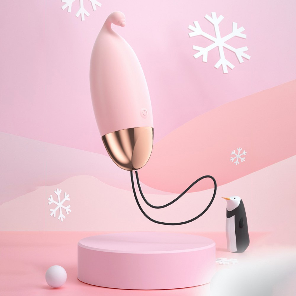 Vibrador para Clit�ris em Silicone Recarreg�vel Rosa - Imagem da embalagem do vibrador.