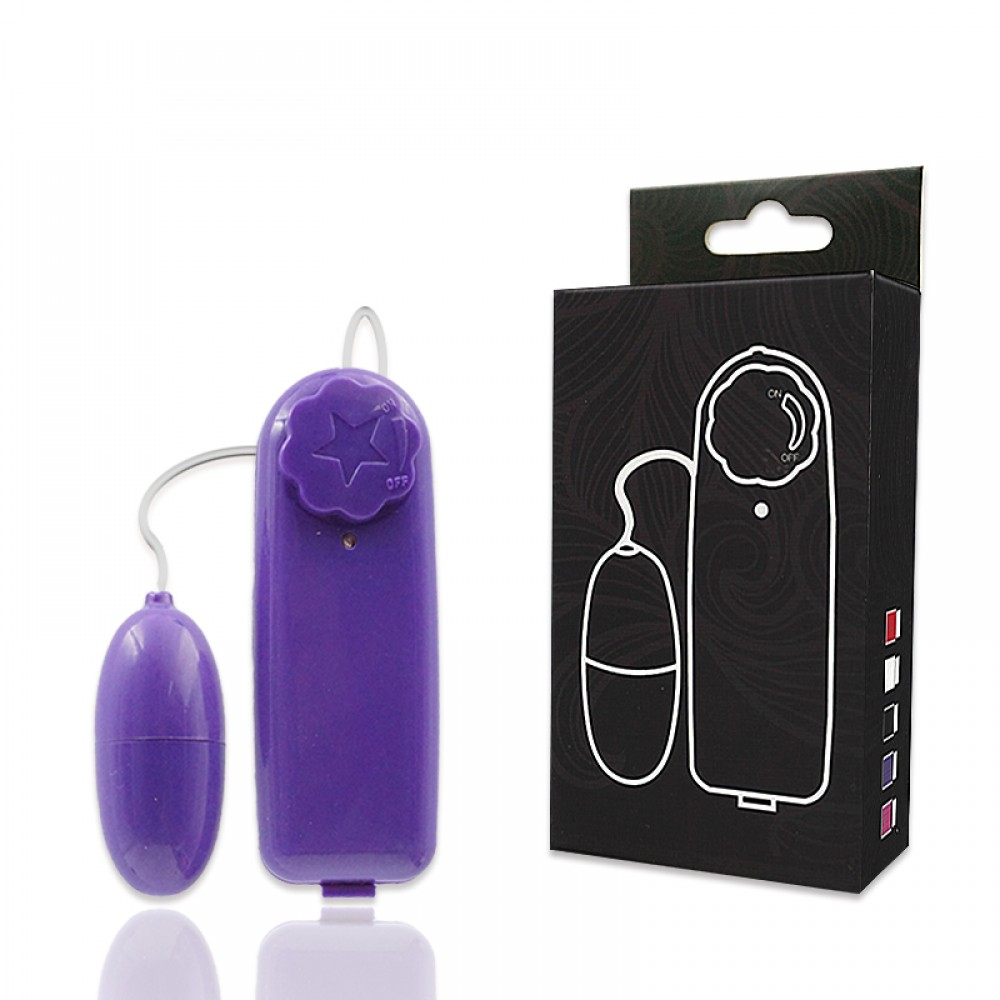 Vibrador Bullet Cápsula com Multivelocidade e Controle Remoto com Fio Roxo | Foto 01