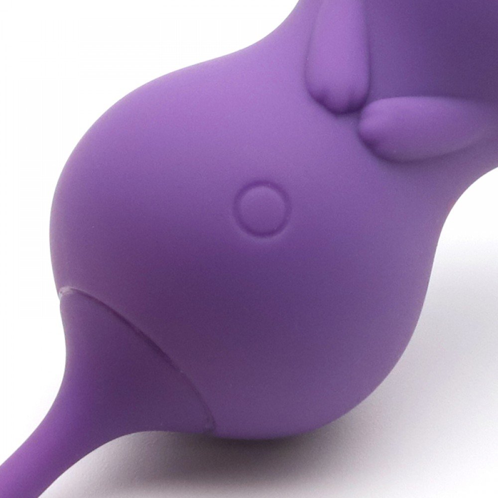Vibrador para Clitóris Recarregável em Silicone com 10 Vibrações e Controle sem Fio Paula Roxo | Foto 03