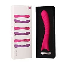 Foto do Produto Vibrador Feminino em Silicone Recarregável com 9 Vibrações a prova D