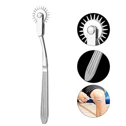 Foto do Produto Roda de Wartenberg com Pinos Grandes em A�o Inoxid�vel Prata